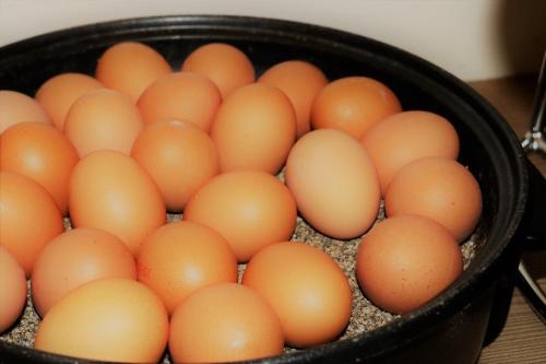 Imagen general del Hotel Novum Ruf Pforzheim. Foto 4