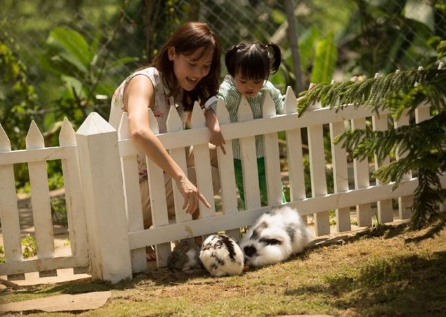 Imagen de la piscina del Hotel Novus Giri Resort and Spa. Foto 14