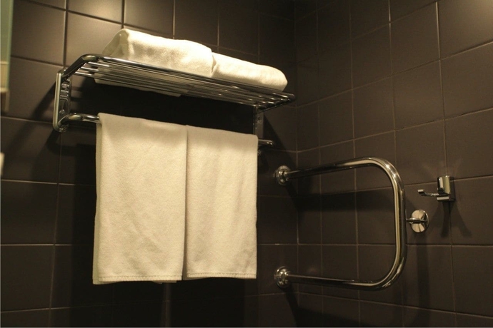Imagen de la habitación del Hotel Novye Gorki. Foto 17