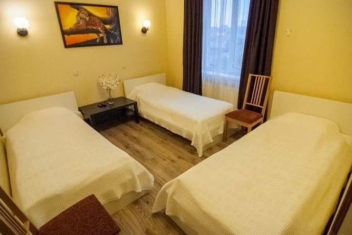 Imagen de la habitación del Hotel Noy Domodedovo. Foto 5