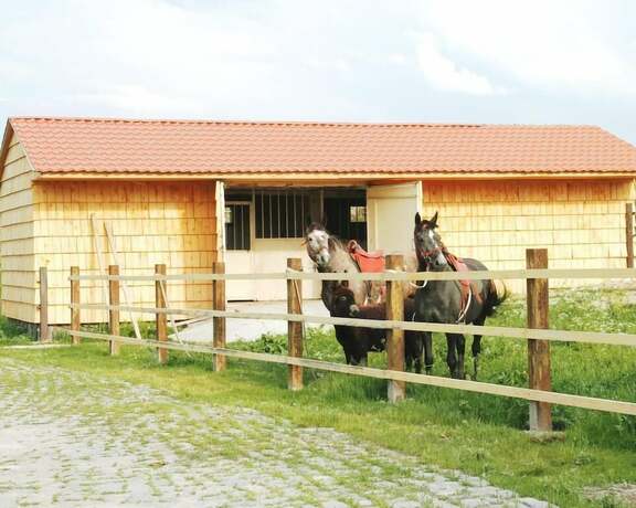 Imagen general del Hotel Noy Land Resort. Foto 17