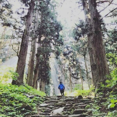 Imagen general del Hotel Nozawa Gondola Apartments. Foto 8