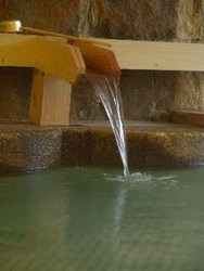 Imagen general del Hotel Nozawa Grand. Foto 7