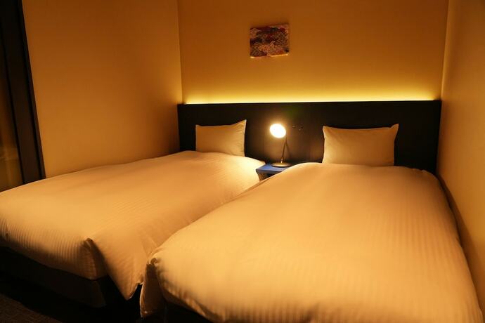 Imagen de la habitación del Hotel Nplushotel higasikanda. Foto 17