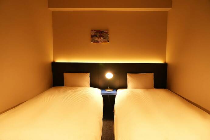 Imagen de la habitación del Hotel Nplushotel higasikanda. Foto 18