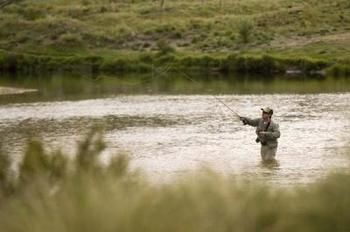 Imagen general del Hotel Nrma Jindabyne Holiday Park. Foto 4