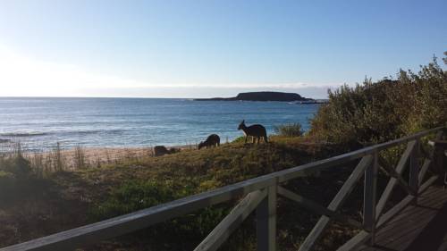 Imagen de la habitación del Hotel Nrma Murramarang Beachfront Holiday Resort. Foto 2