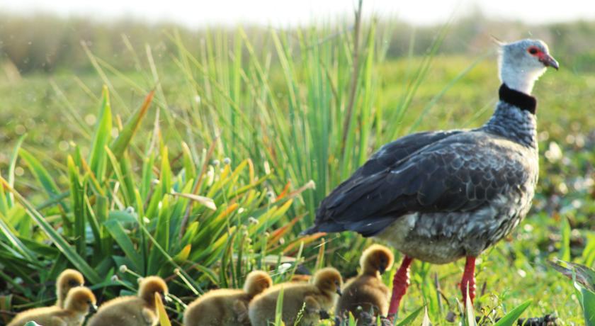 Imagen general del Hotel &Ntilde;ande Ret&aacute;. Foto 2