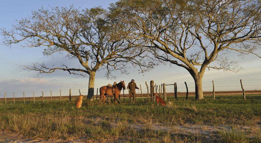 Imagen general del Hotel &Ntilde;ande Ret&aacute;. Foto 13