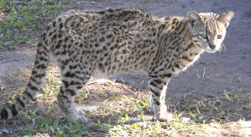 Imagen general del Hotel &Ntilde;ande Ret&aacute;. Foto 14