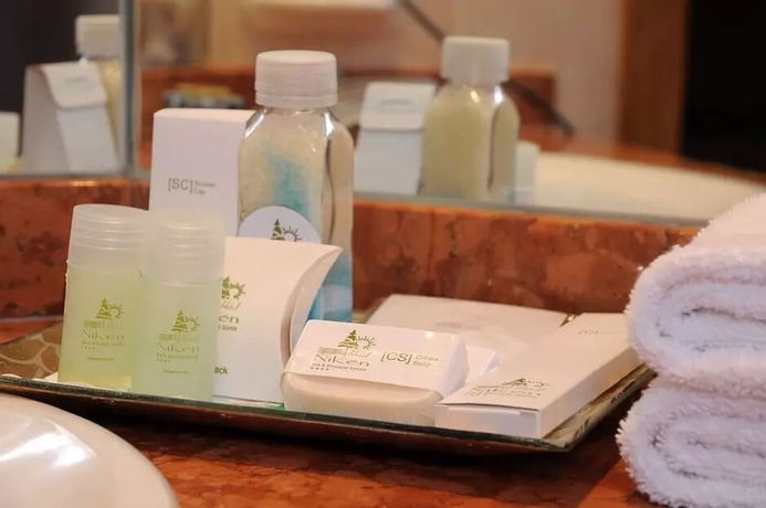 Imagen de la habitación del Hotel &Ntilde;iken Spa and Business Center. Foto 15