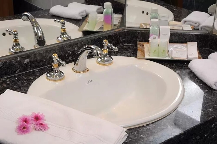 Imagen de la habitación del Hotel &Ntilde;iken Spa and Business Center. Foto 16