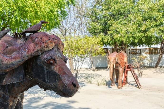 Imagen general del Hotel Ntunda Lodge. Foto 8