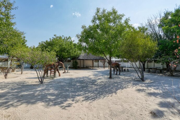 Imagen general del Hotel Ntunda Lodge. Foto 10