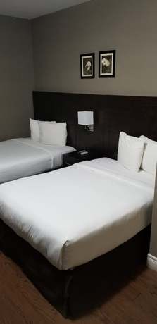Imagen de la habitación del Hotel Nu Toronto. Foto 3