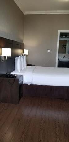 Imagen de la habitación del Hotel Nu Toronto. Foto 11