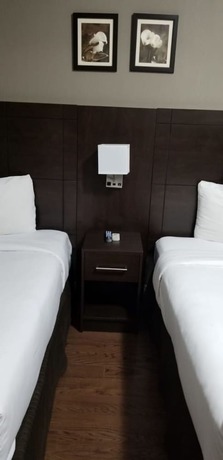 Imagen de la habitación del Hotel Nu Toronto. Foto 14
