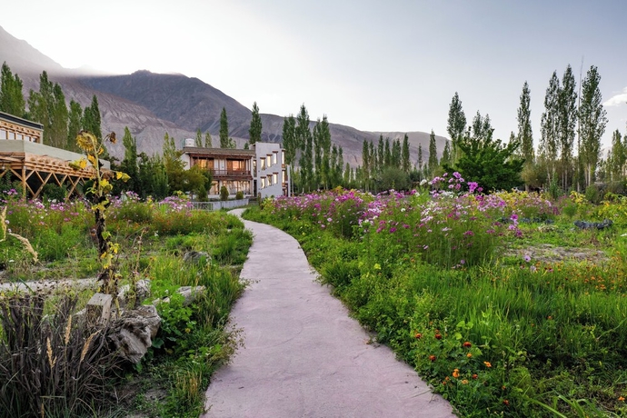 Imagen de la habitación del Hotel Nubra Ecolodge. Foto 3