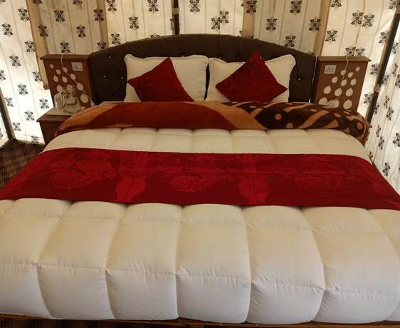 Imagen de la habitación del Hotel Nubra Ethnic Camp. Foto 19