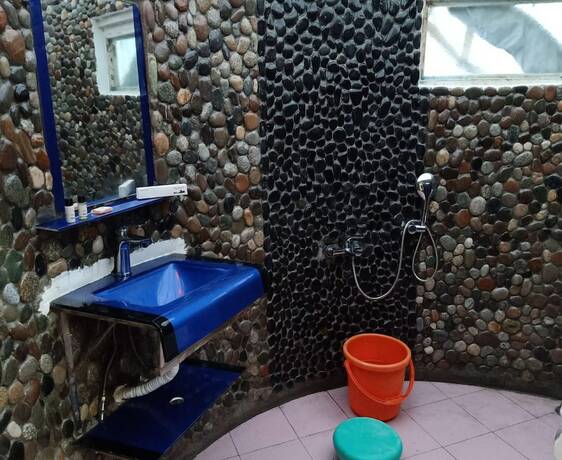 Imagen general del Hotel Nubra Ethnic Camp. Foto 6