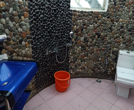 Imagen general del Hotel Nubra Ethnic Camp. Foto 16