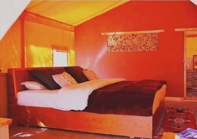 Imagen de la habitación del Hotel Nubra Organic Retreat - Hunder - Campsite. Foto 2