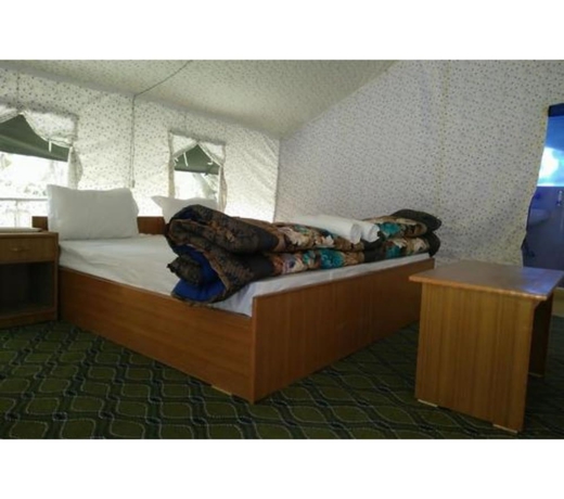 Imagen de la habitación del Hotel Nubra Summer Camp. Foto 10