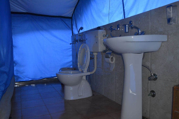 Imagen de la habitación del Hotel Nubra Summer Camp. Foto 13