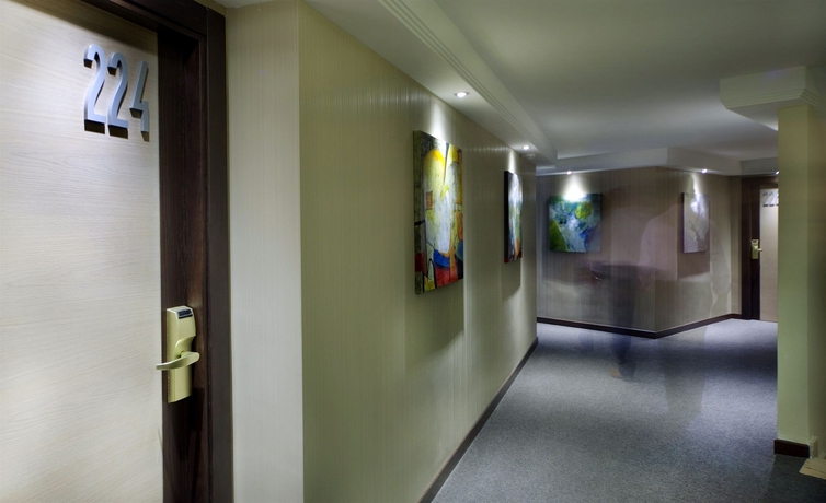 Imagen de los interiores del Hotel Nuevo Torreluz. Foto 10