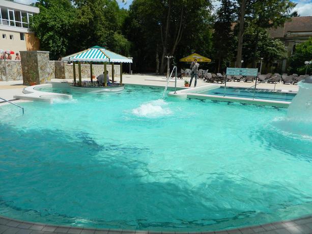 Imagen de la piscina del Hotel Nufarul. Foto 11