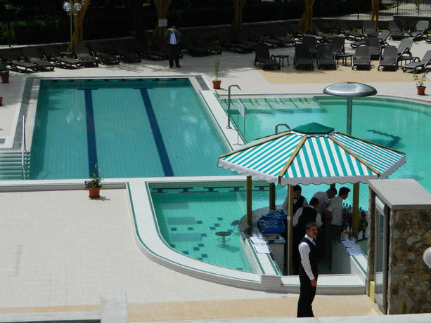 Imagen de la piscina del Hotel Nufarul. Foto 12
