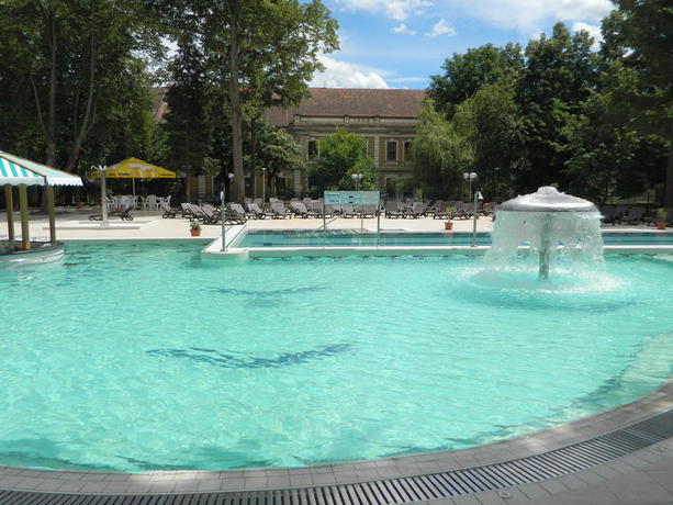 Imagen de la piscina del Hotel Nufarul. Foto 13