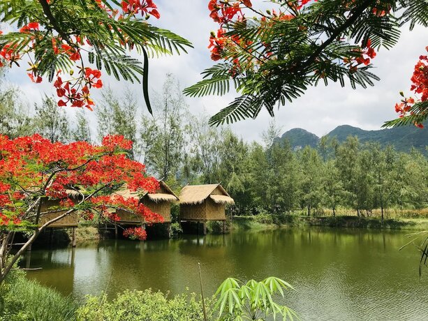 Imagen general del Hotel Numpubaandin Homestay. Foto 3