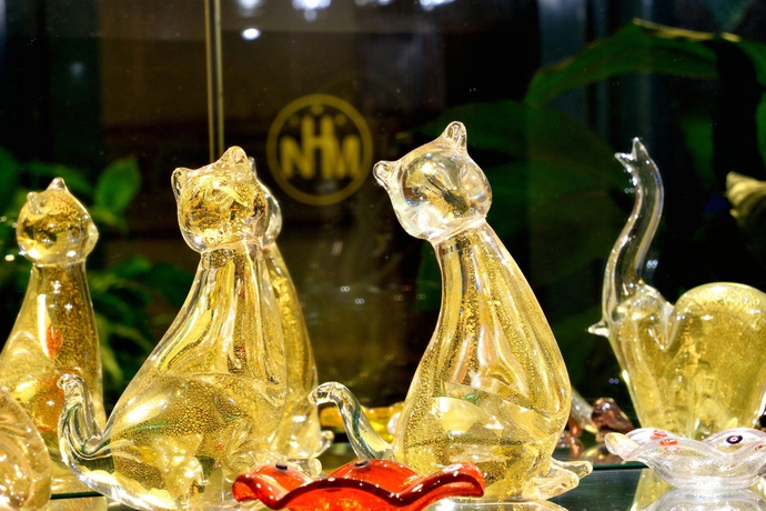 Imagen de los interiores del Hotel Nuova Mestre. Foto 6