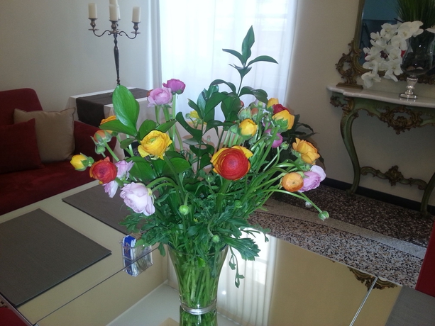 Imagen general del Hotel Nuovo Nord. Foto 3