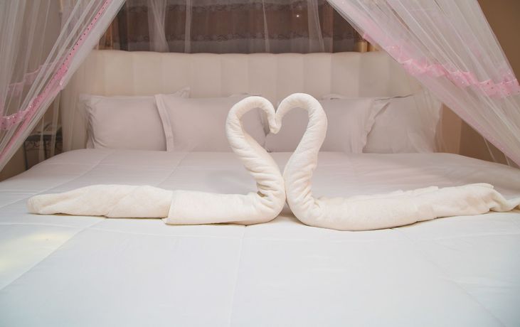 Imagen de la habitación del Hotel Nuru Palace. Foto 9