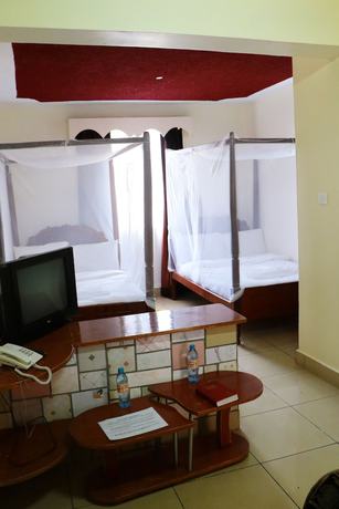 Imagen de la habitación del Hotel Nuru Palace. Foto 18