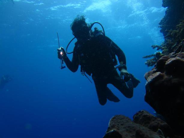 Imagen general del Hotel Nusantara Diving Centre Resort Spa. Foto 16