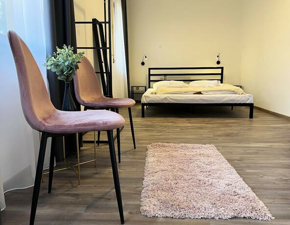 Imagen de la habitación del Hotel Nussbaum Panzi&oacute;. Foto 20