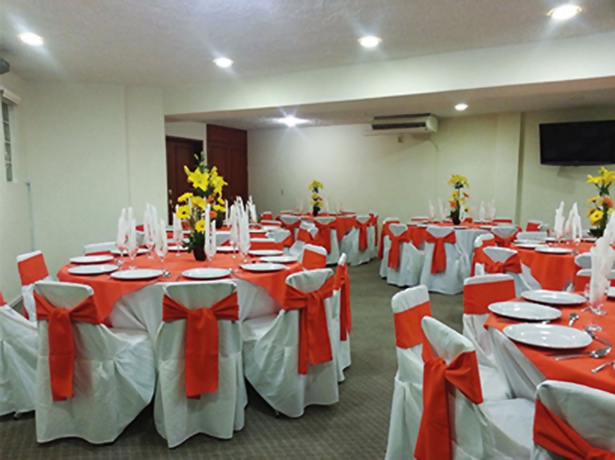 Imagen de los interiores del Hotel Nv Guadalajara. Foto 3