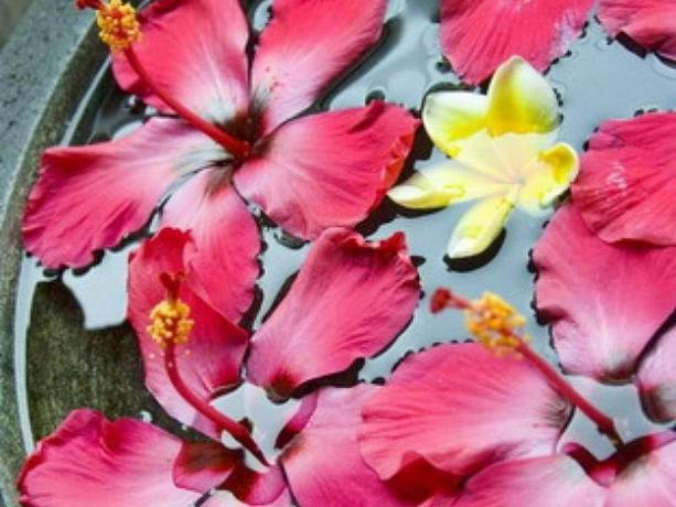 Imagen general del Hotel Nyiur Indah Beach Hotel. Foto 4