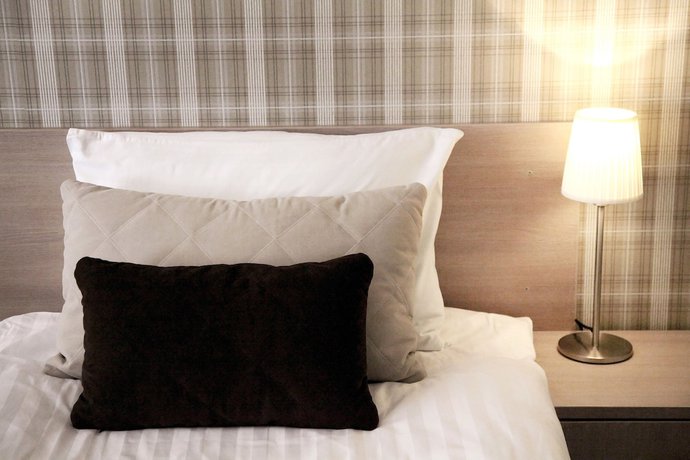 Imagen de la habitación del Hotel Nykscio Namai. Foto 5