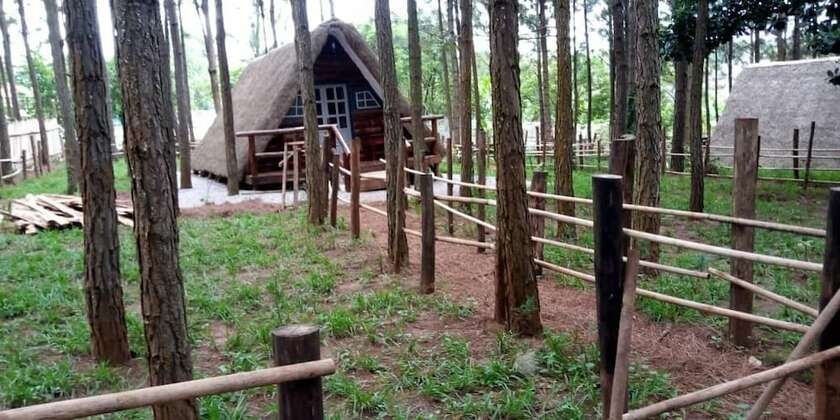 Imagen general del Hotel Nyungu Yamawe Forest Park. Foto 3