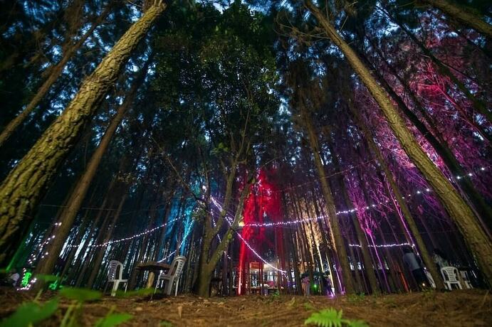 Imagen general del Hotel Nyungu Yamawe Forest Park. Foto 6