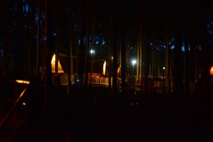 Imagen general del Hotel Nyungu Yamawe Forest Park. Foto 7