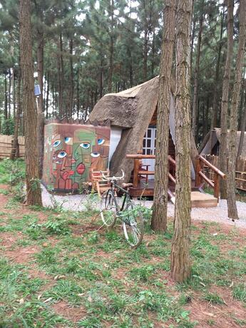 Imagen general del Hotel Nyungu Yamawe Forest Park. Foto 12