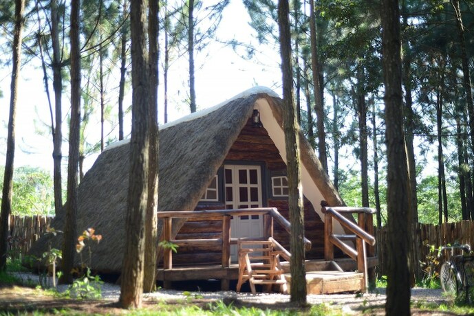 Imagen general del Hotel Nyungu Yamawe Forest Park. Foto 14