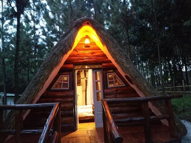 Imagen general del Hotel Nyungu Yamawe Forest Park. Foto 16