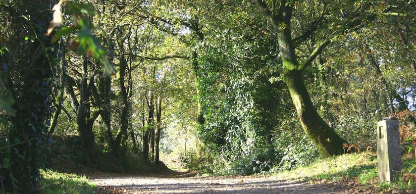 Imagen general del Hotel O Pino. Foto 2