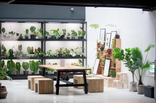 Imagen general del Hotel OA HOTEL. Foto 7